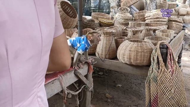 Part3 Clever Bebjo React With Souvenir Seller While Mum Selecting Some Materials, Monkey Benjo смотреть онлайн