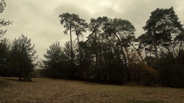 4K. Mainzer Sand / Германия смотреть онлайн