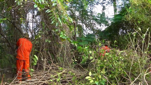 Clean up the abandoned house and overgrown garden that no one has visited for more than 15 years смотреть онлайн