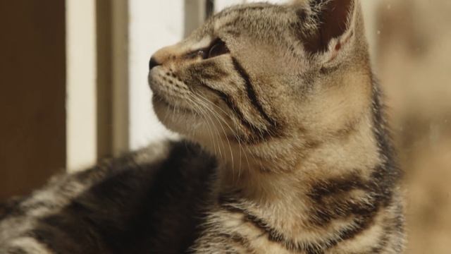 Великая Суббота перед Пасхой что можно делать в этот день? смотреть онлайн