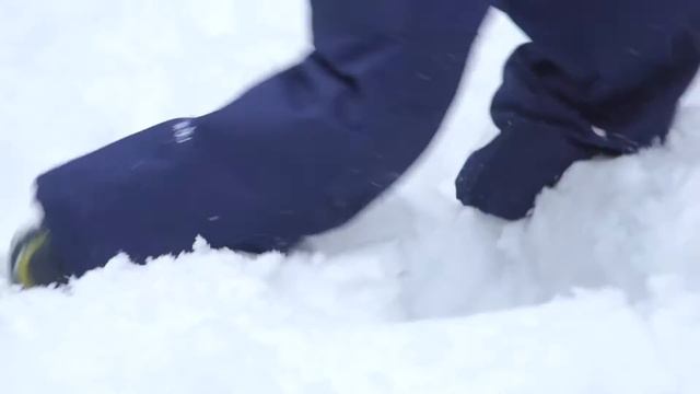 Premont. Новая зимняя коллекция 2017/2018. Модели для мальчиков.