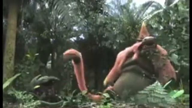 Congalala Ecology (Monster Hunter Wiki) смотреть онлайн