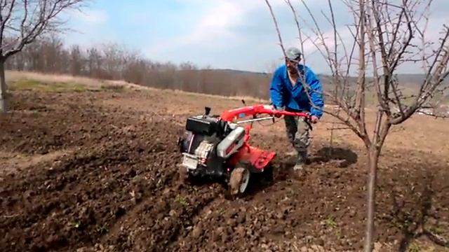 motocultor,мотоблок , motocultivatore, motoazada , tiller kipor kdt 610 la frezat,sapat смотреть онлайн