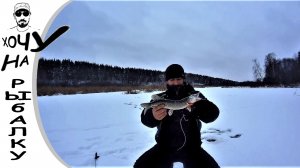 ЭТО НЕ ЯКУТИЯ, ДЕТКА? первый лед 20.11.20. щука на балансир