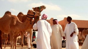 НЕ УПАДИТЕ! Как на самом деле живут обычные арабские шейхи