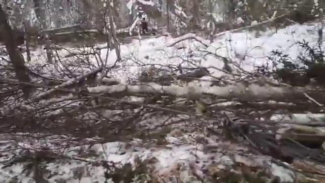 ТДТ 55 трелевка леса смотреть онлайн