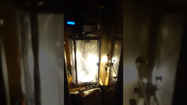 Anycubic Kossel Linear Plus -спрятанный в шкаф. Anycubic Kossel Linear Plus 3d printer test run смотреть онлайн