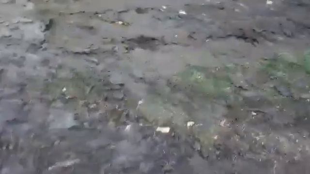 Ночная рыбалка ,все поймано на подсачник смотреть онлайн