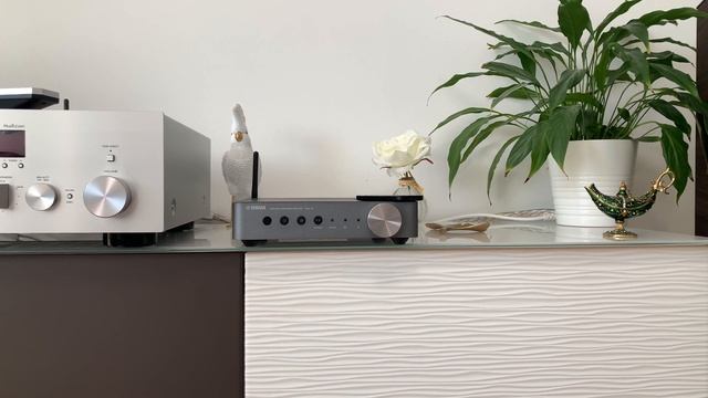 YAMAHA R-N803 D vs. WXA-50 смотреть онлайн