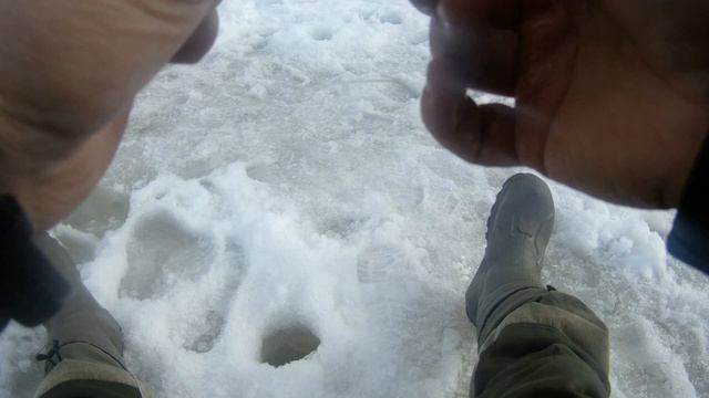 Последний лед 2020-2021 смотреть онлайн