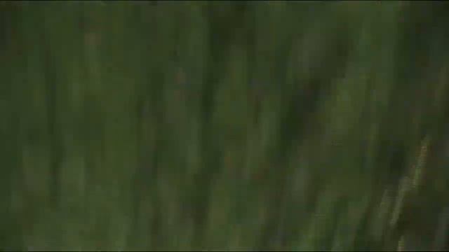 История объекта заброшенный советский ресторан смотреть онлайн