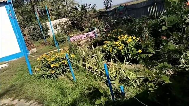 вернули теплицу на место смотреть онлайн