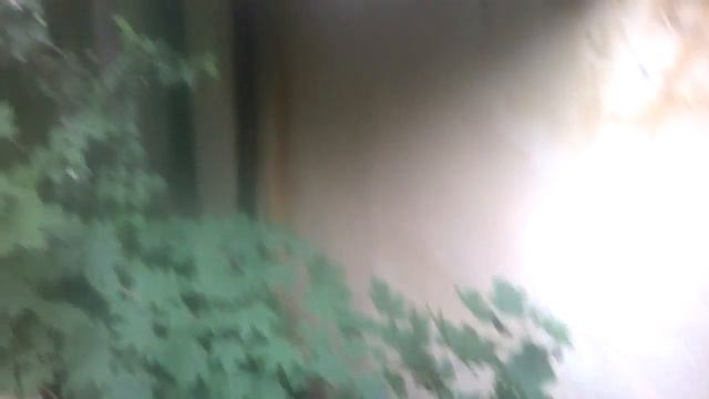 Прогулка около "Дачи Эльзы" & Санаторий - "Ласточка" смотреть онлайн