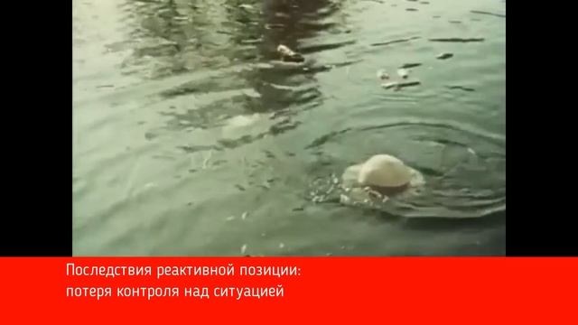 Пример проактивной позиции и системного мышления из фильма "Королева бензоколонки" смотреть онлайн