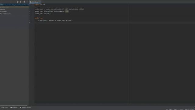 Sockets and Ports in Python смотреть онлайн