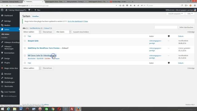 WordPress VideoEngagePro Demo 3 смотреть онлайн