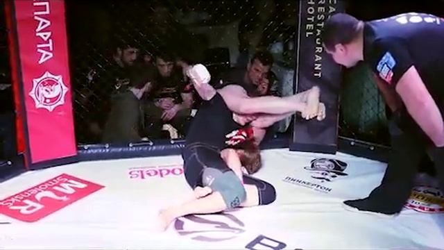 Anna Emelianenko Highlight 2019 смотреть онлайн