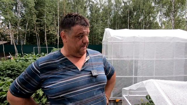 Смотреть бесплатно в хорошем качестве. смотреть онлайн