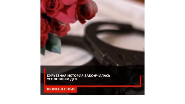 В БОБРУЙСКЕ МУЖЧИНА ОГРАБИЛ ЦВЕТОЧНЫЙ МАГАЗИН, ЧТОБЫ ПОДАРИТЬ ЖЕНЕ БУКЕТ смотреть онлайн