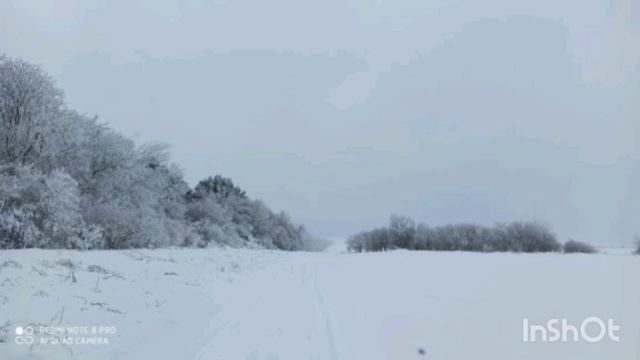 Зимний лес смотреть онлайн