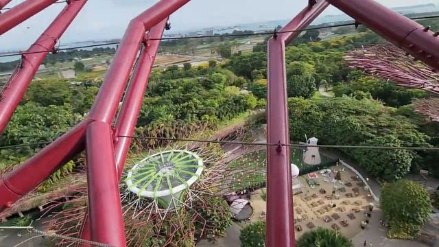 Singapore Botanic Gardens/ СИНГАПУР БОТАНИЧЕСКИЙ САД. смотреть онлайн