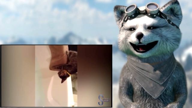 #REACT - GATOS ENGRAÇADOS #4 смотреть онлайн