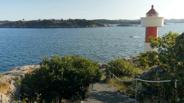 Synergy Country Club смотреть онлайн