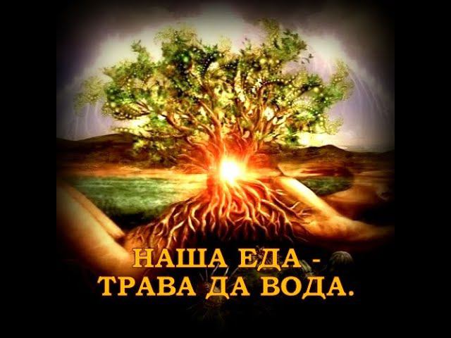 НАША ЕДА - ТРАВА ДА ВОДА. смотреть онлайн