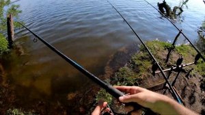 Ловля Крупного карася на Днепре. Рыбалка как в сказке.