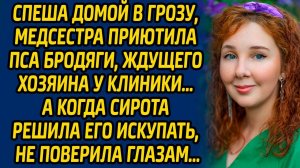 Спеша домой в грозу, медсестра приютила пса бродяги, ждущего хозяина у клиники, а когда сирота...