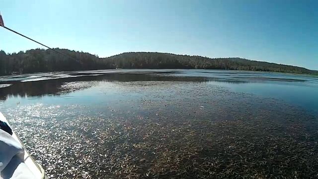За щукой. Иркутское водохранилище 06.08.2016. Ловля щуки в траве. Часть 7..mp4 смотреть онлайн