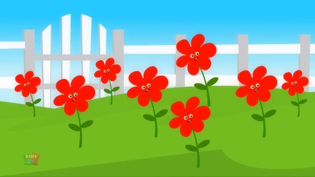 Bob il treno | le forme vanno rotolando | forme geometriche | filastrocche | Bob Shapes Go Rolling смотреть онлайн