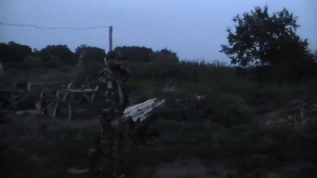 Показ чемпионов России и Алтайского края. 30. 07. 2019 смотреть онлайн