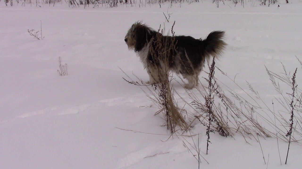 Дмитрий Рябов - Поздний снег
