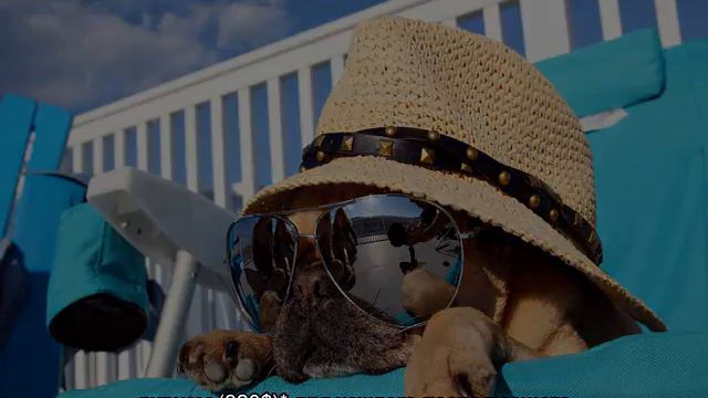 Виза в ОАЭ для россиян в 2018 смотреть онлайн