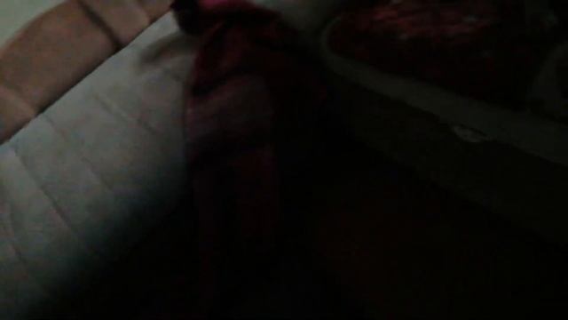 Жизнь на даче. Ника на сидит на цепи. смотреть онлайн