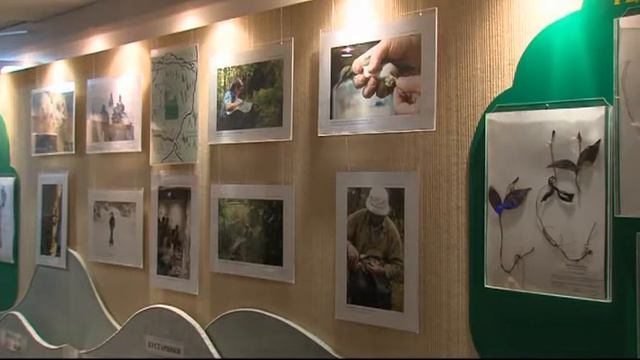 Фотовыставка от заповедника Юганский смотреть онлайн