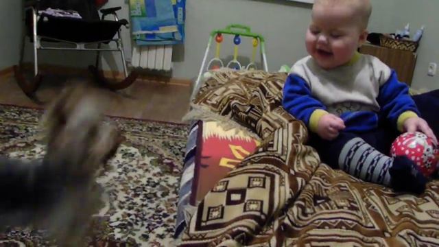 Йоркширский терьер и дети смотреть онлайн