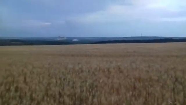 РУССКИЙ ХЛЕБ РАСТЁТ | АНДРЮХА БОЛТ смотреть онлайн