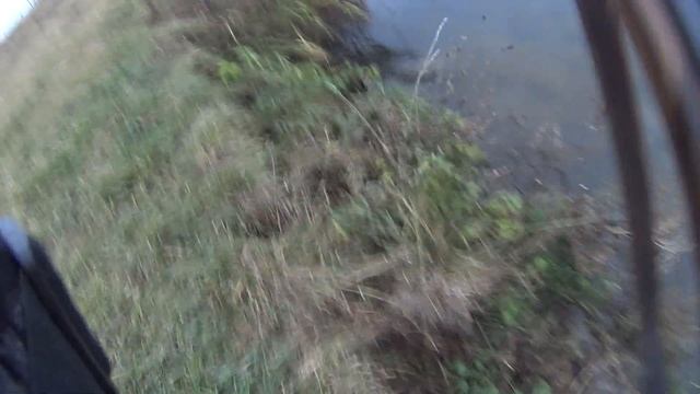 Ловля ондатры капканами кп 120 и мордушками смотреть онлайн