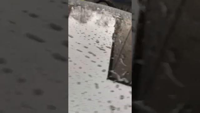 Ауди а4 б6 американка ч.3