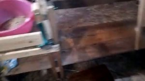 Как Сделать Станок Для Дойки Козы