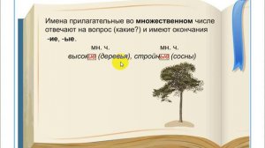 Число имён прилагательных