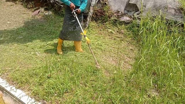 How grass cutters cut grass in Malaysia. смотреть онлайн