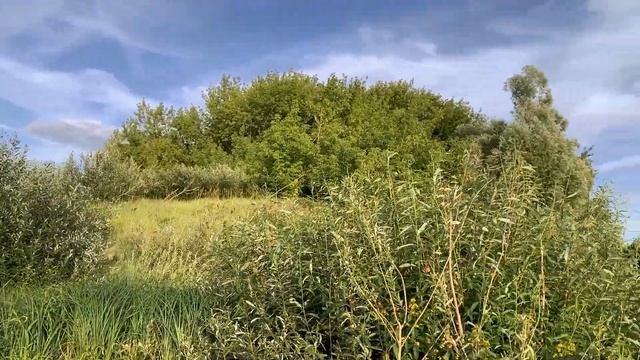 Из Рязани в Муром на лодке! (Часть 1) Ночуем на островах! смотреть онлайн