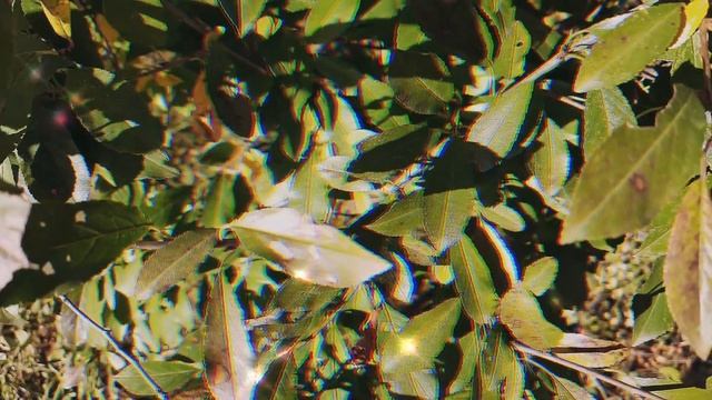 Предмет, привлекающие деньги и богатство в дом. Энергия слова смотреть онлайн