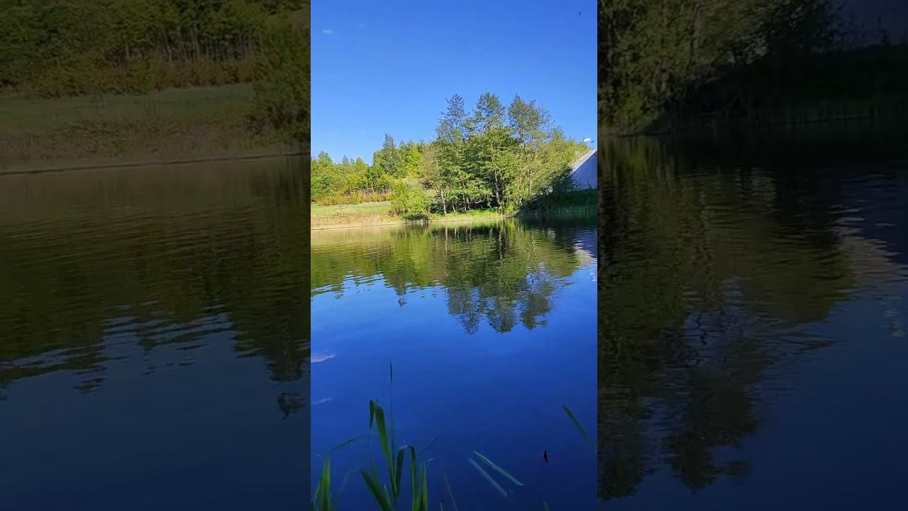 Звуки Природы. Кайфуйте, городские.