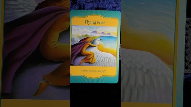 Flying Free ⛩️ Gateway Oracle card meaning смотреть онлайн