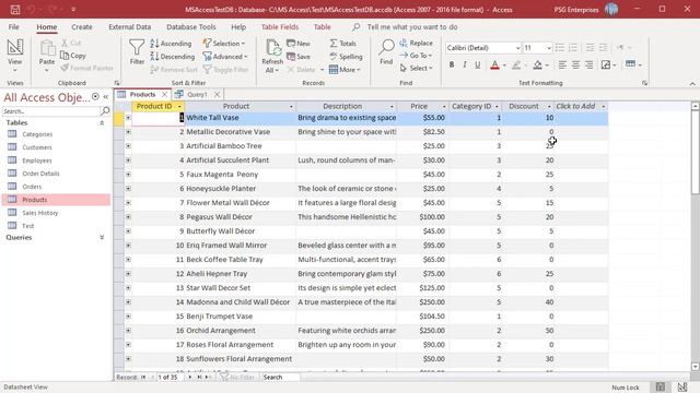 How to fill Null and Blank values with logical values in MS Access - Office 365 смотреть онлайн
