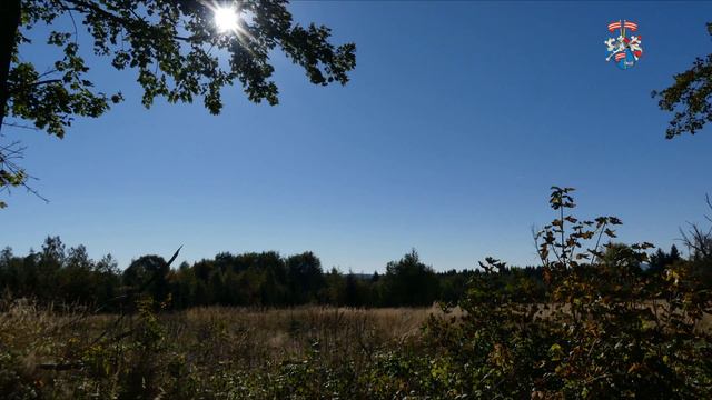 Rund um Neuhausen - Schwartenberg - Talsperre Rauschenbach (Wanderung mit ganz viel Fernsicht) смотреть онлайн